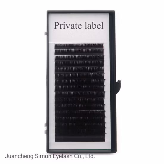 High Quality Individual Natural Soft Lash Extension for Professionals Russia Volume Eyelashes